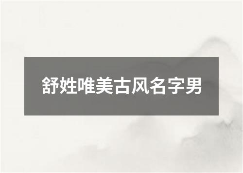 舒姓唯美古风名字男