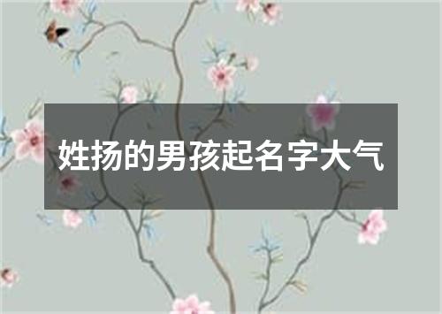 姓扬的男孩起名字大气