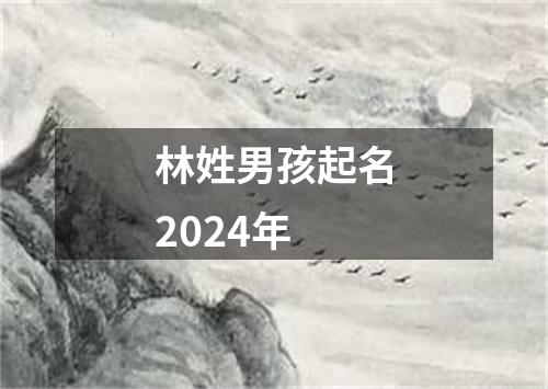 林姓男孩起名2024年