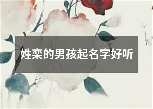 姓栾的男孩起名字好听