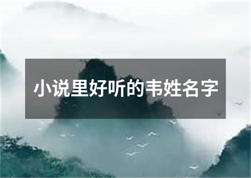 小说里好听的韦姓名字