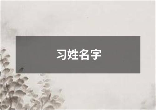 习姓名字