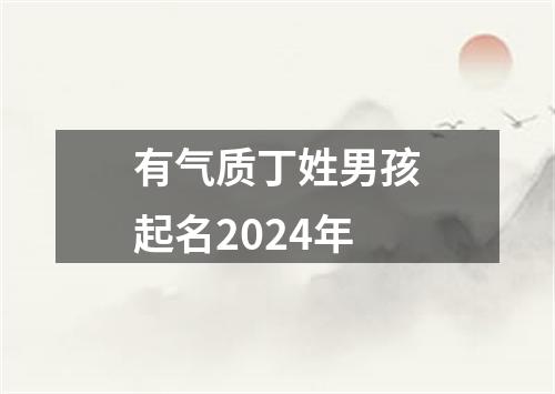 有气质丁姓男孩起名2024年