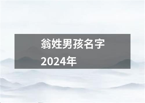 翁姓男孩名字2024年