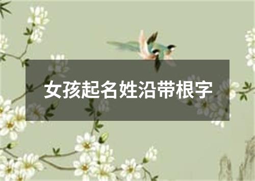 女孩起名姓沿带根字