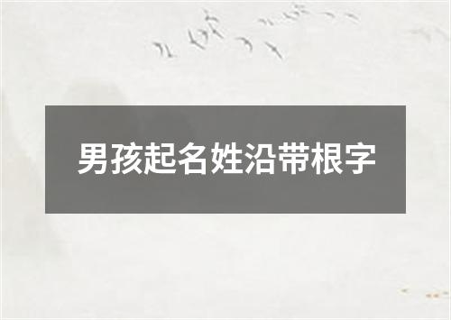 男孩起名姓沿带根字