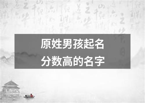 原姓男孩起名分数高的名字