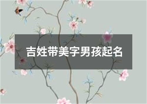 吉姓带美字男孩起名