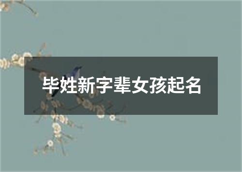 毕姓新字辈女孩起名