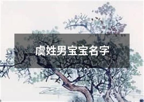 虞姓男宝宝名字