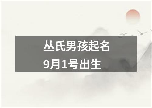 丛氏男孩起名9月1号出生