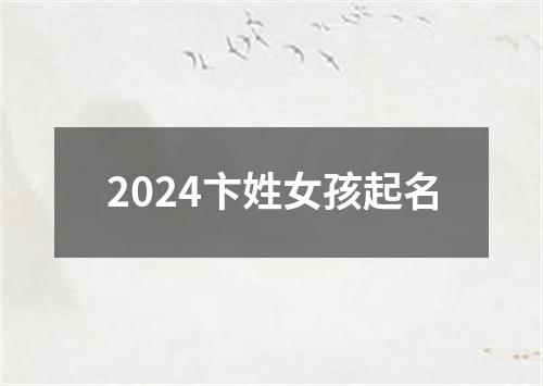 2024卞姓女孩起名