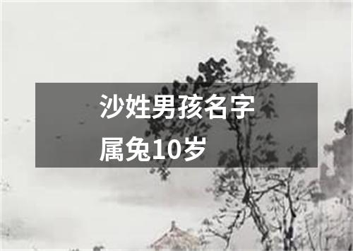 沙姓男孩名字属兔10岁