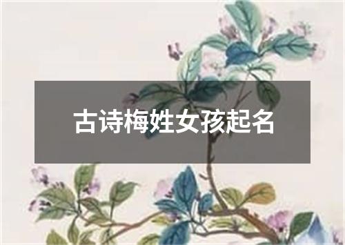 古诗梅姓女孩起名