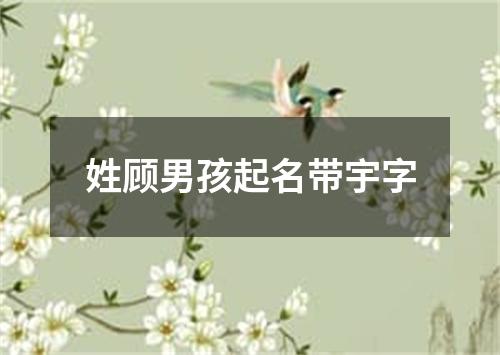 姓顾男孩起名带宇字