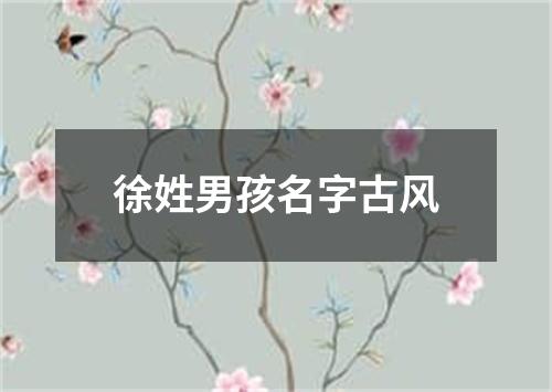 徐姓男孩名字古风