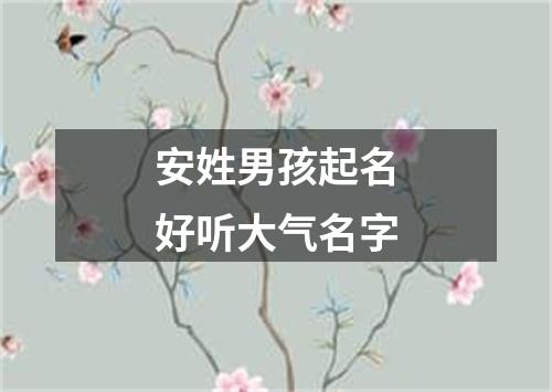 安姓男孩起名好听大气名字