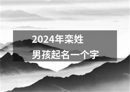 2024年栾姓男孩起名一个字