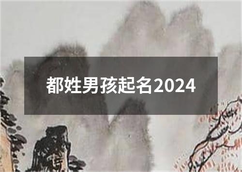 都姓男孩起名2024