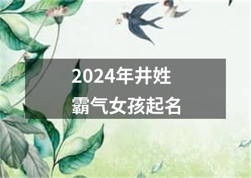 2024年井姓霸气女孩起名