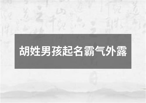 胡姓男孩起名霸气外露