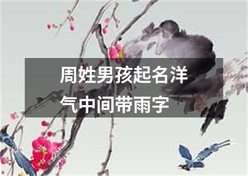 周姓男孩起名洋气中间带雨字