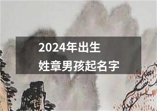 2024年出生姓章男孩起名字