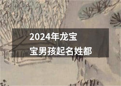 2024年龙宝宝男孩起名姓都