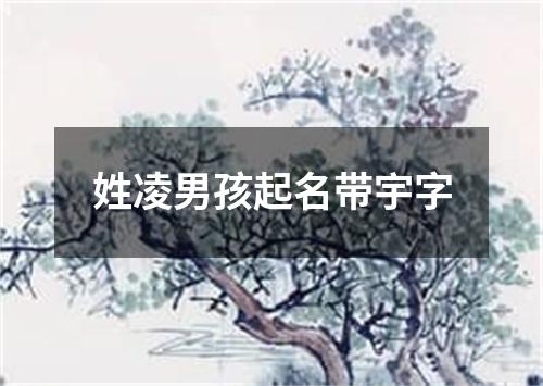 姓凌男孩起名带宇字