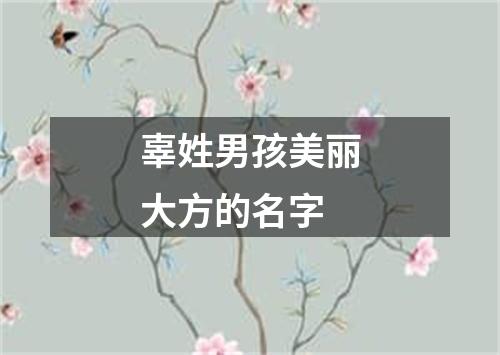 辜姓男孩美丽大方的名字