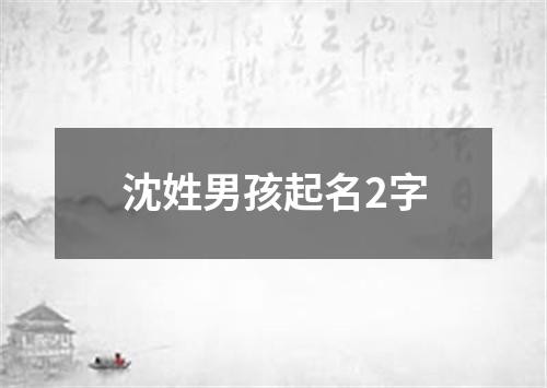 沈姓男孩起名2字