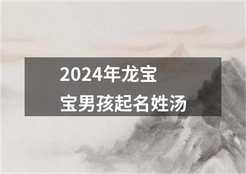 2024年龙宝宝男孩起名姓汤