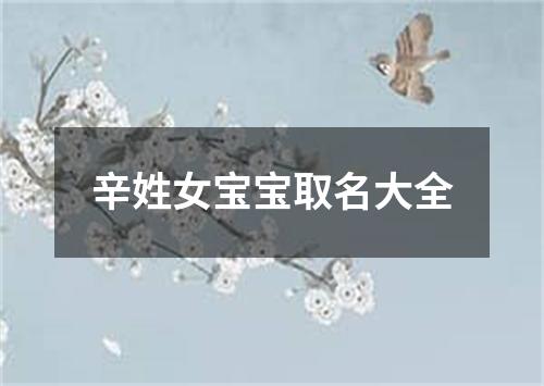 辛姓女宝宝取名大全