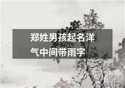 郑姓男孩起名洋气中间带雨字