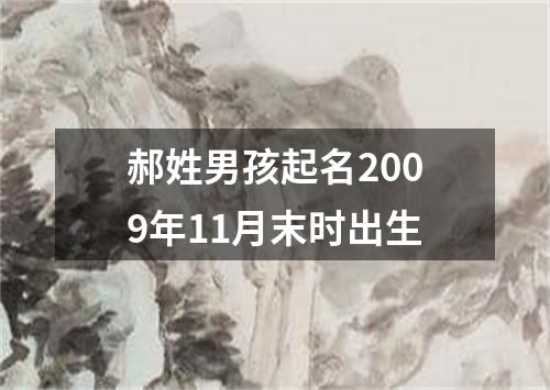 郝姓男孩起名2009年11月末时出生