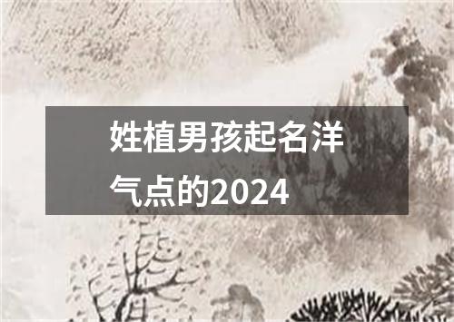 姓植男孩起名洋气点的2024