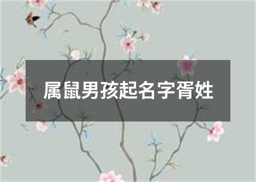 属鼠男孩起名字胥姓