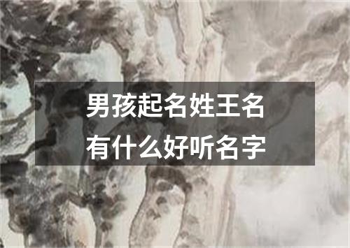 男孩起名姓王名有什么好听名字