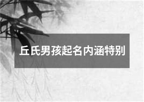 丘氏男孩起名内涵特别