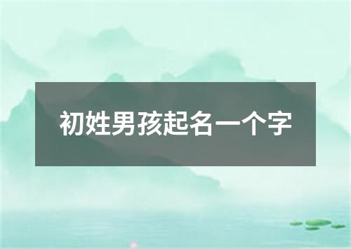 初姓男孩起名一个字