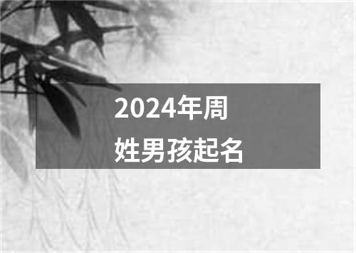 2024年周姓男孩起名