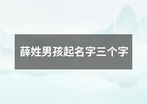 薛姓男孩起名字三个字