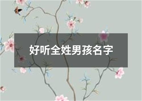 好听全姓男孩名字