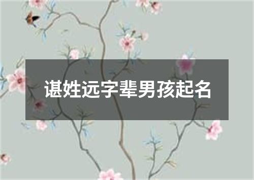 谌姓远字辈男孩起名