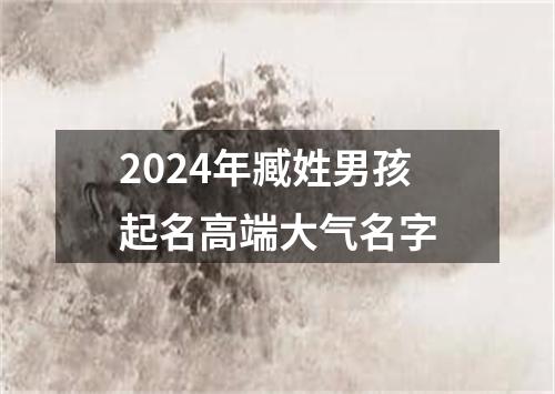 2024年臧姓男孩起名高端大气名字