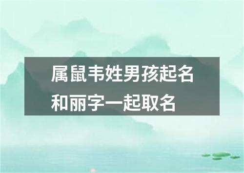 属鼠韦姓男孩起名和丽字一起取名