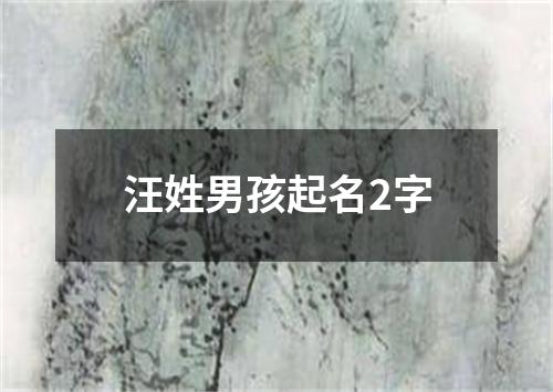 汪姓男孩起名2字