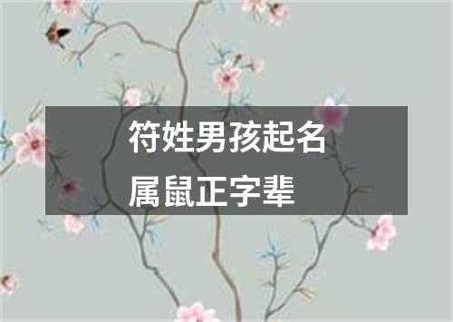 符姓男孩起名属鼠正字辈