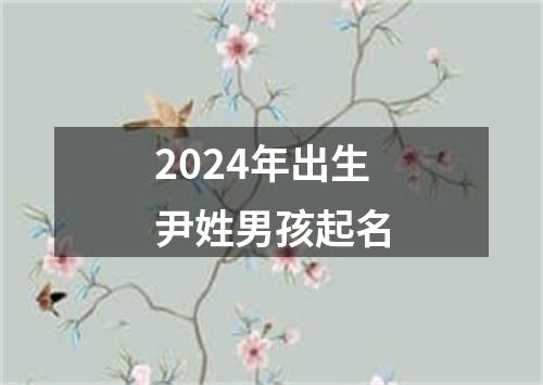 2024年出生尹姓男孩起名