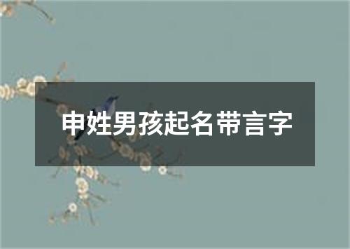 申姓男孩起名带言字